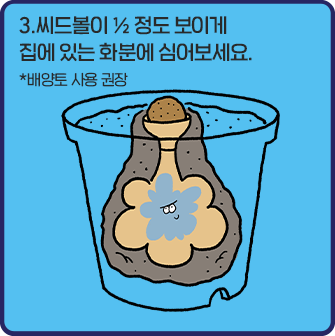 3. 씨드볼이 절반 정도 보이게 집에 있는 화분에 심어보세요. (배양토 사용을 권장합니다.)